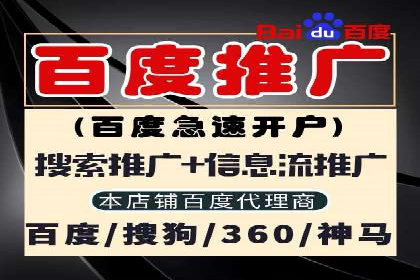 SEM优化师成功案例：助力企业实现品牌升级